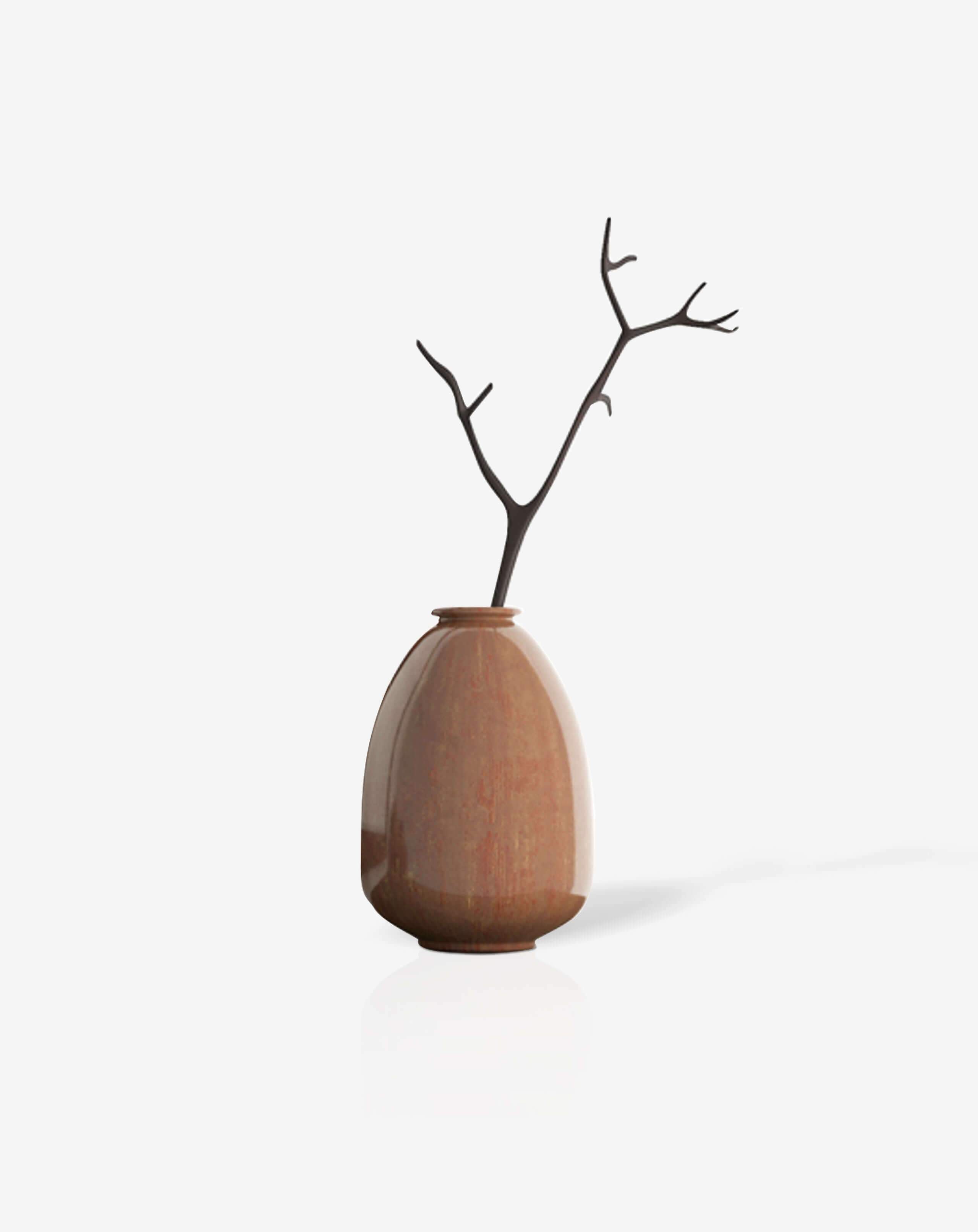 Bonsai desktop 11