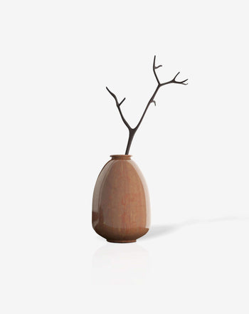 Bonsai desktop 11