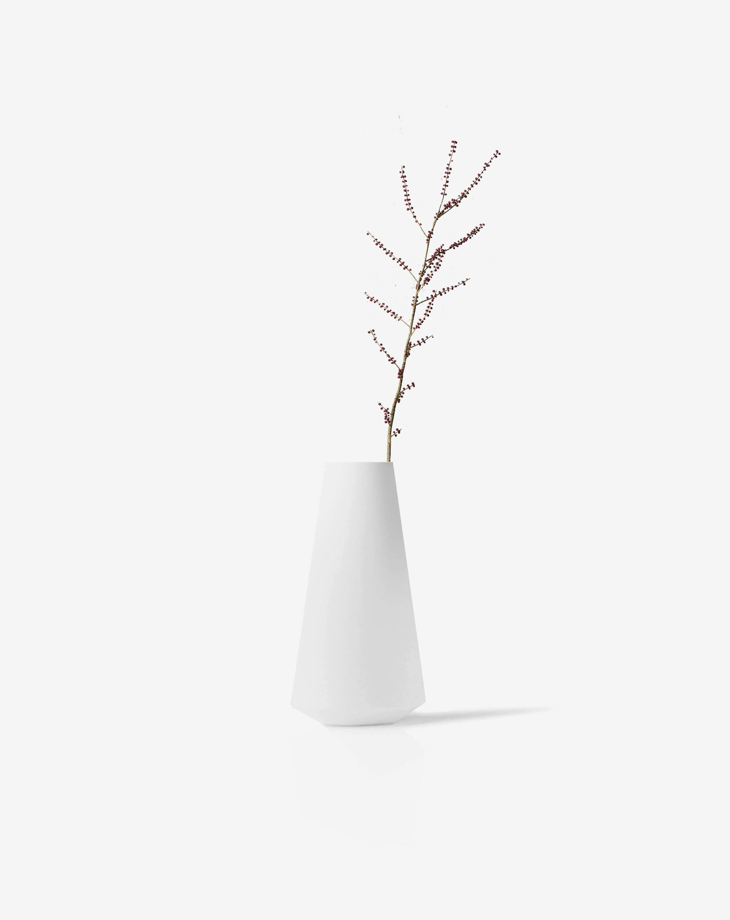 Bonsai desktop 2